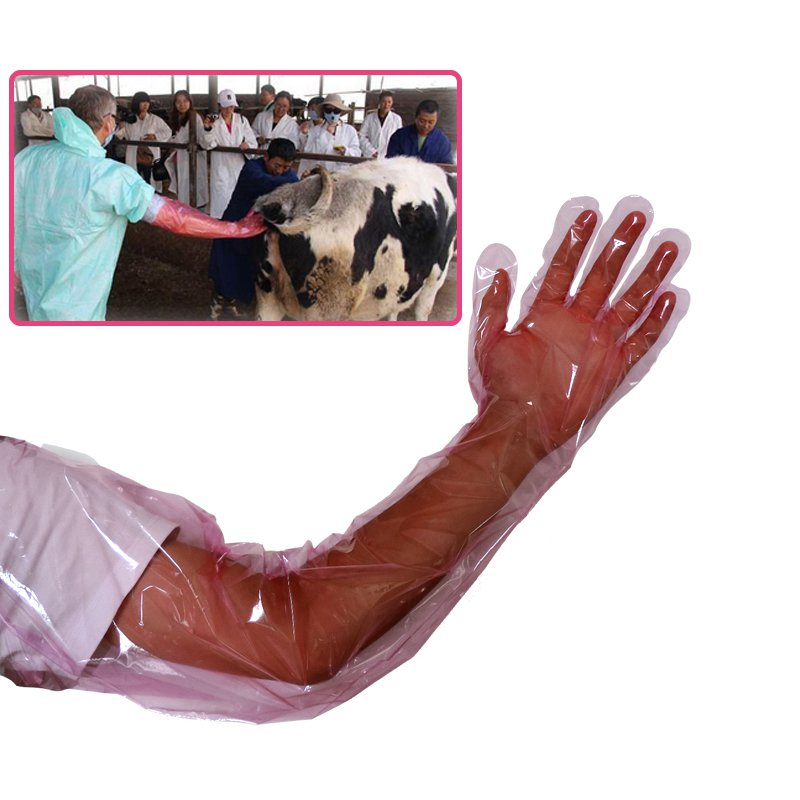 Ветеринарная рука PE перчатки устранимая длинная для осеменения животных